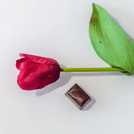 Chocolate Διαμέρισμα