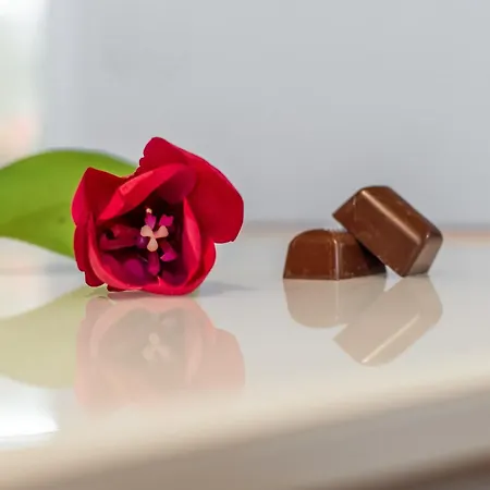 Lejlighed Chocolate