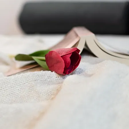 Chocolate فلورنس