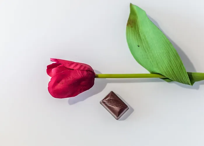 Chocolate Apartament