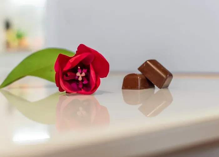 Apartament Chocolate